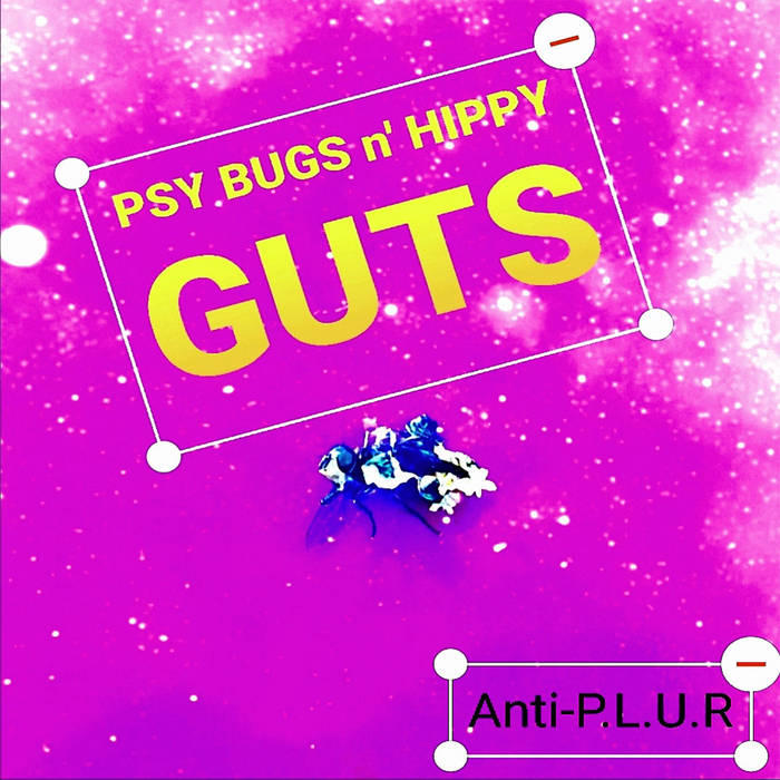 Psy Bugs N' Hippy Guts by Anti-P.L.U.R, Product Image.